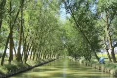 Canal de Castilla - Ramal de Campos