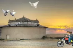 Palomar en Tierra de Campos