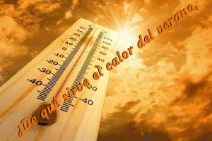 Nota: Imagen animada. Espera comienzo animación