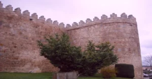 El Cubo de la Mula (Torreón 11) es una torre destacada de la Muralla de Ávila, situada en el sector este frente a la Basílica de San Vicente. Esta torre remodelada en el siglo XV tiene forma redondeada y debe su nombre a las múltiples leyendas existentes.
