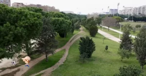 Seguro que has visto en los parques y otros sitios al aire libre esos senderos informales que, desbrozados de hierba, la gente crea como alternativa a las rutas establecidas.