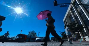 Las olas de calor podrían durar todo el verano. De hecho, ya se han registrado dos veces más días de calor extremo en los últimos años, en comparación con los años setenta.