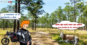 Siempre que lo hago me pasa lo mismo, y por lo que ¡me siento totalmente frustrado! Estoy hablando de contarle un chiste a una vaca. El mejor que sepas y presenciar, totalmente frustrado, que la vaca no se rie. ¡Ni por cortesia! ¡NO VUELVO A HACERLO! ¡NO!¡NUNCA MÁS!