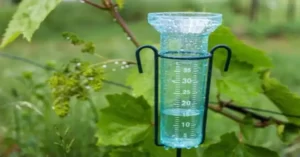 Pluviómetro de plástico de uso muy extendido en el mundo agrícola para llevar un registro de la pluviometría a pie de campo