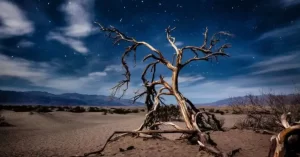 El Valle de la Muerte enCalifornia (USA) está considerado como uno de los lugares más calurosos del mundo, a pesar de lo cual se ha creado un parque natural al que la gente va a pasar el rato ???