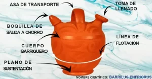 Partes principales de un botijo