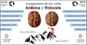 Físicamente por la forma de los granos de café podemos clasificar un café como arábica o robusta. Vemos que los granos de café robusta son más redondos y abombados mientras que los granos de café arábica son más alargados y más planos.