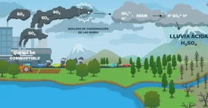 La lluvia ácida es el resultado de la combustión de combustibles fósiles que contienen impurezas de azufre. Su quema libera dióxido de azufre (SO2) en el aire. Una vez liberado, el dióxido de azufre encuentra partículas que catalizan su reacción con los radicales hidroxilos (OH·). El resultado de esta reacción se mezcla con los núcleos de agua condensada en las nubes y produce ácido sulfúrico y ácido sulfuroso. Estos ácidos rebajan el pH de las nubes de lluvia, lo cual acaba provocando la lluvia ácida.