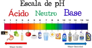 El pH es la medida del grado de acidez o alcalinidad de una sustancia o una solución. El pH se mide en una escala de 0 a 14. En esta escala, un valor pH de 7 es neutro, lo que significa que la sustancia o solución no es ácida ni alcalina. Un valor pH de menos de 7 significa que es más ácida, y un valor pH de más de 7 significa que es más alcalina.