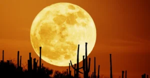 No es que la Luna sea así de grande, es que nos parece que es más grande, y en esa ilusión vemos la Luna más hermosa que nunca. Un engaño que no tiene su origen en causas físicas-astronómicas o de origen óptico, es al parecer una ilusión en toda regla que es investigada por la psicología de la percepción.