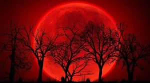 Luna de sangre que se produce durante los eclipses lunares totales. Cuando ocurren, la Tierra se sitúa entre la Luna y el Sol, tapando la luz del Sol que se refleja en la Luna.