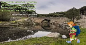 El río Becedas esta sorteado por varios puentes de origen romano, pues esta zona era paso obligatorio para comerciantes y viajeros, más tarde utilizados por los trashumantes que usaban la cañada que en la edad media unía la ciudad de Toledo con Ávila. En la imagen el puente de La Pililla situado en las proximidades de El Hoyo de Pinares.