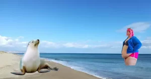 Como todo el mundo sabe la mujer tiene pelo y la foca vive en el mar.