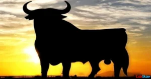 Como ingeniero de centrales eléctricas, me he pasado gran parte de mi vida recorriendo todas las costas de esa Piel de Toro con que se conoce a la península ibérica y, también, he pasado mucho tiempo en los archipiélagos balear y canario.